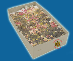 Λιβάνι με Άρωμα Αγιόκλημα Απλο