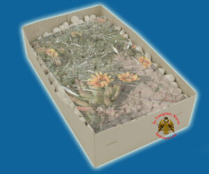 Λιβάνι με Άρωμα Άνθος Ερήμου Απλο