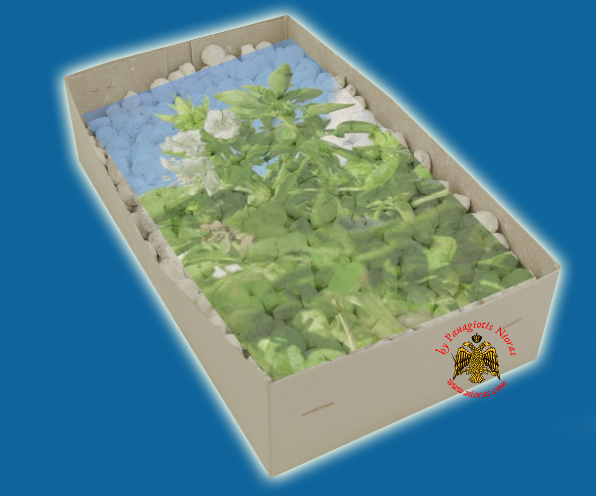 incense_main_basilikos_Nioras