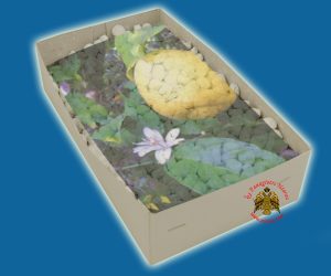 Λιβάνι με Άρωμα Λεμόνι Απλο