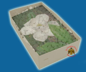 Λιβάνι με Άρωμα Μανώλια Απλο