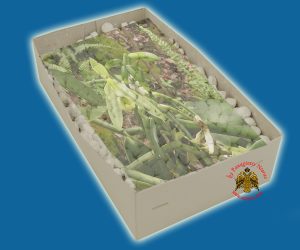 Λιβάνι με Άρωμα Βανίλια Απλο